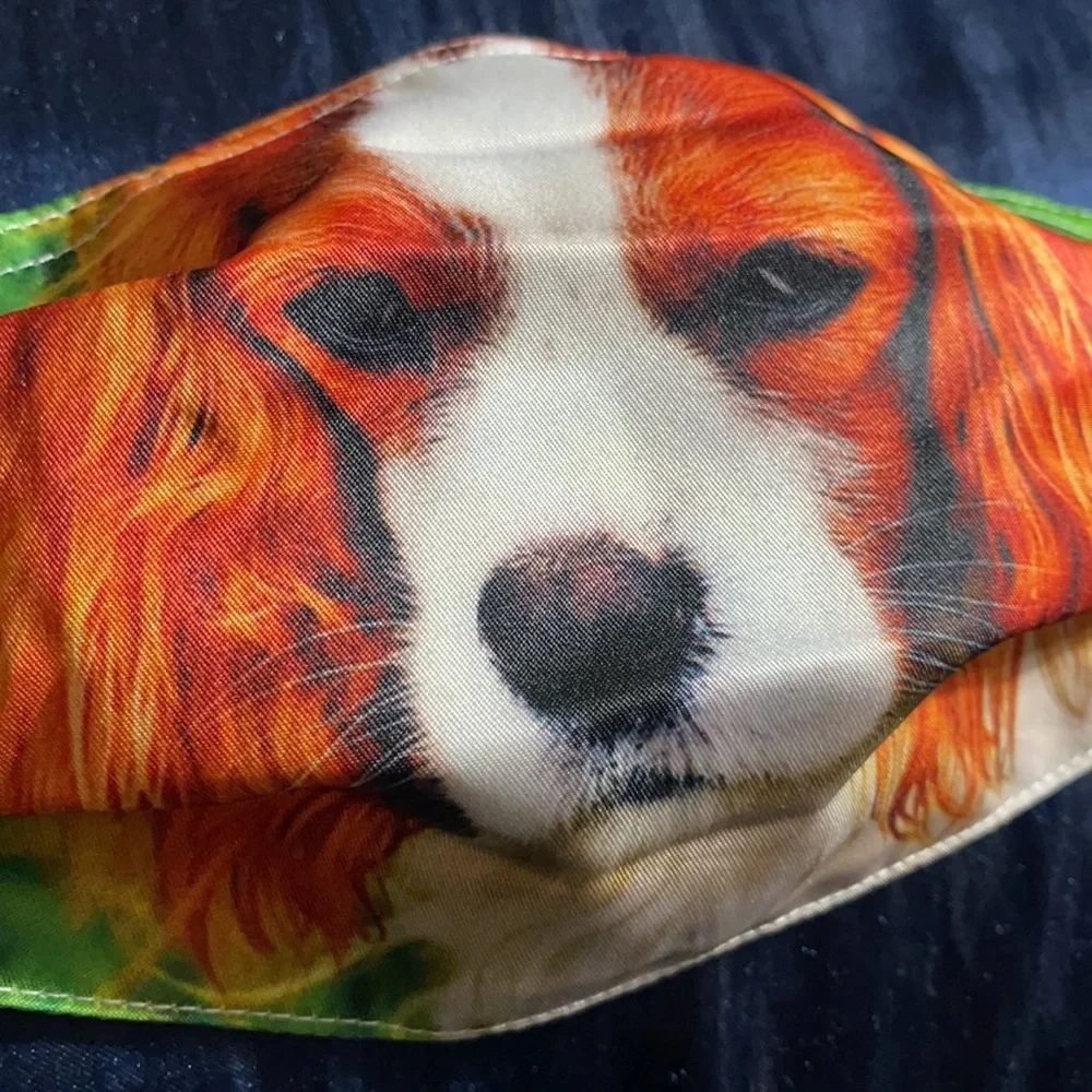 6/$20 New dog face mask